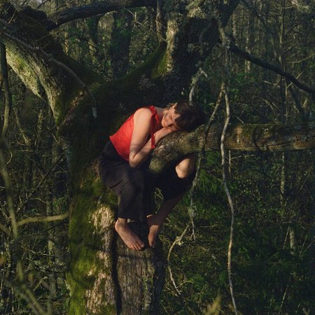 ONCE UPON A TIME IN A FOREST