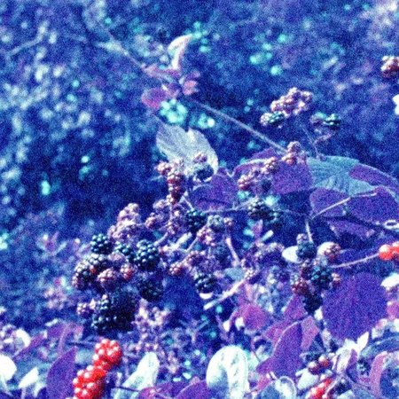 AUS DER TIEFE – 16mm-Gedichtfilme von Patrick Müller