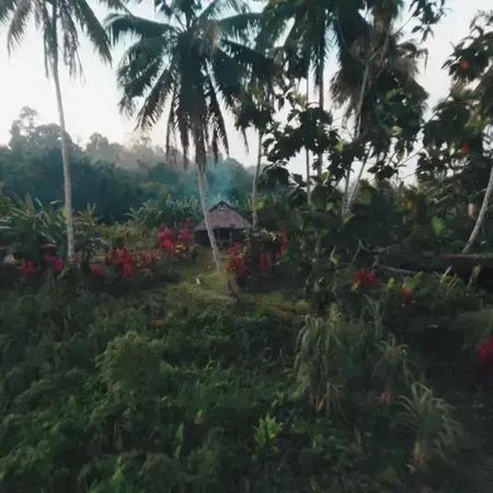 BANDUNG GOES BIFF: STUDENT VOICES FROM INDONESIA