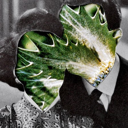 SHE DOLLS WITH DOLLIES