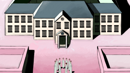 THE EATING OF AN ORANGE