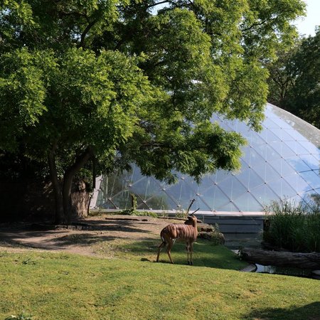 GREENHOUSE STUDIES