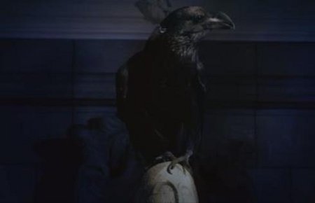 THE RAVEN